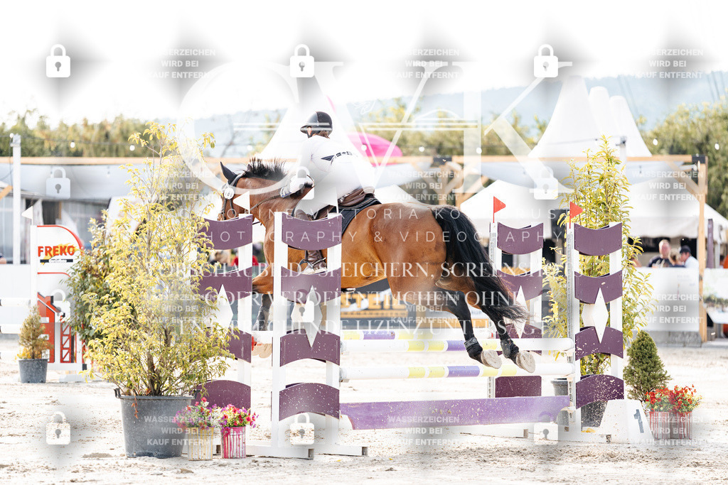 CK906636 | Turnierfotografie Pferdefotografie Trier Rheinland-Pfalz Pferdesport Reitsport Tierfotografie Sportfotografie Pferdevideo Pferdevideografie Equestrianvideography equestrianphotography  - Realisiert mit Pictrs.com