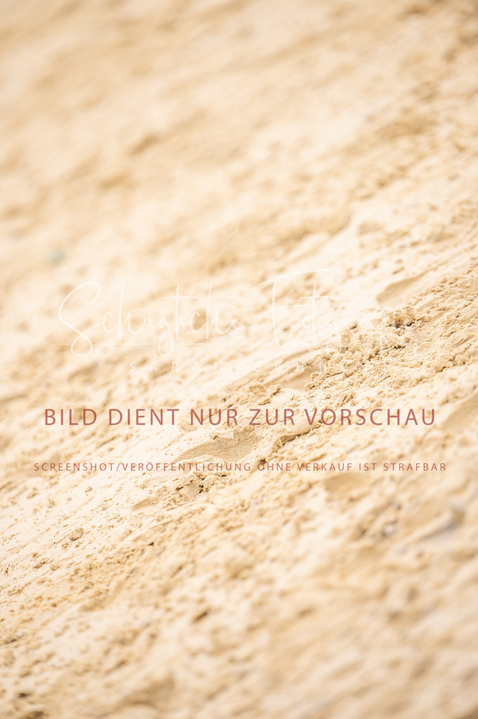 Schugtsche-Aluta25-41.Amat-Dressurprf.A_-426 | Schugtsche Fotografie - Realisiert mit Pictrs.com
