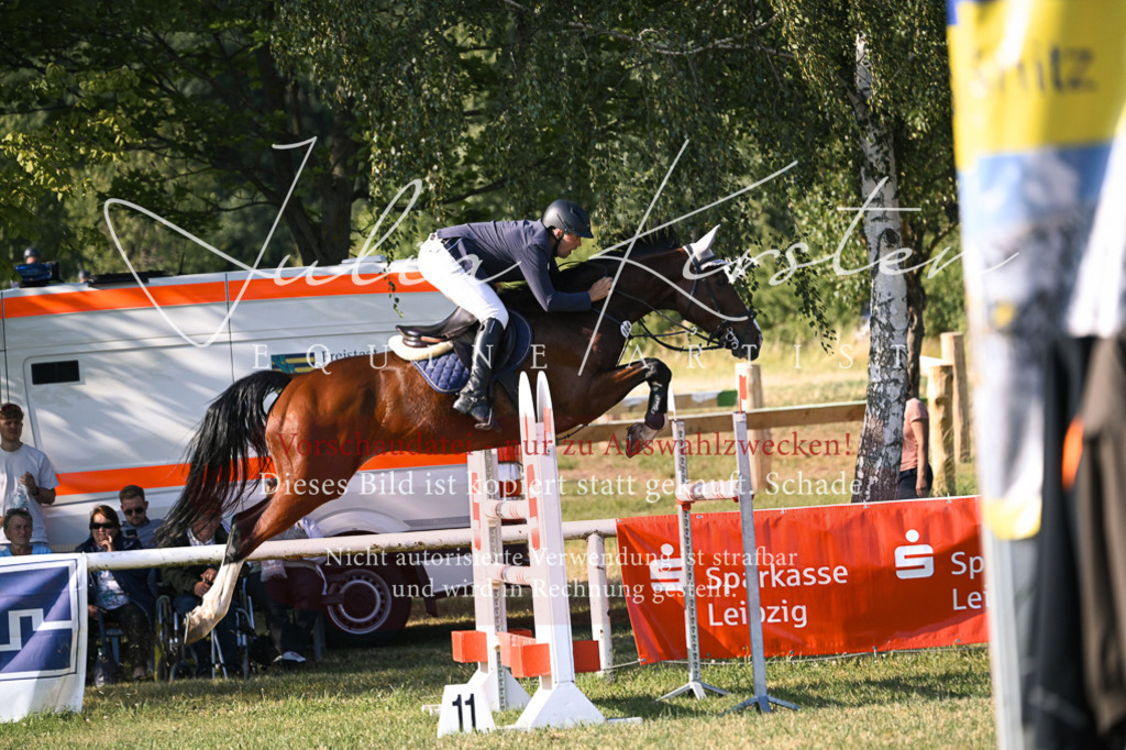 DSC_1642 | Pferde- und Turnierfotografie in Westsachsen. Pferdeportraits, Auftragszeichnungen und intuitive Kunst.