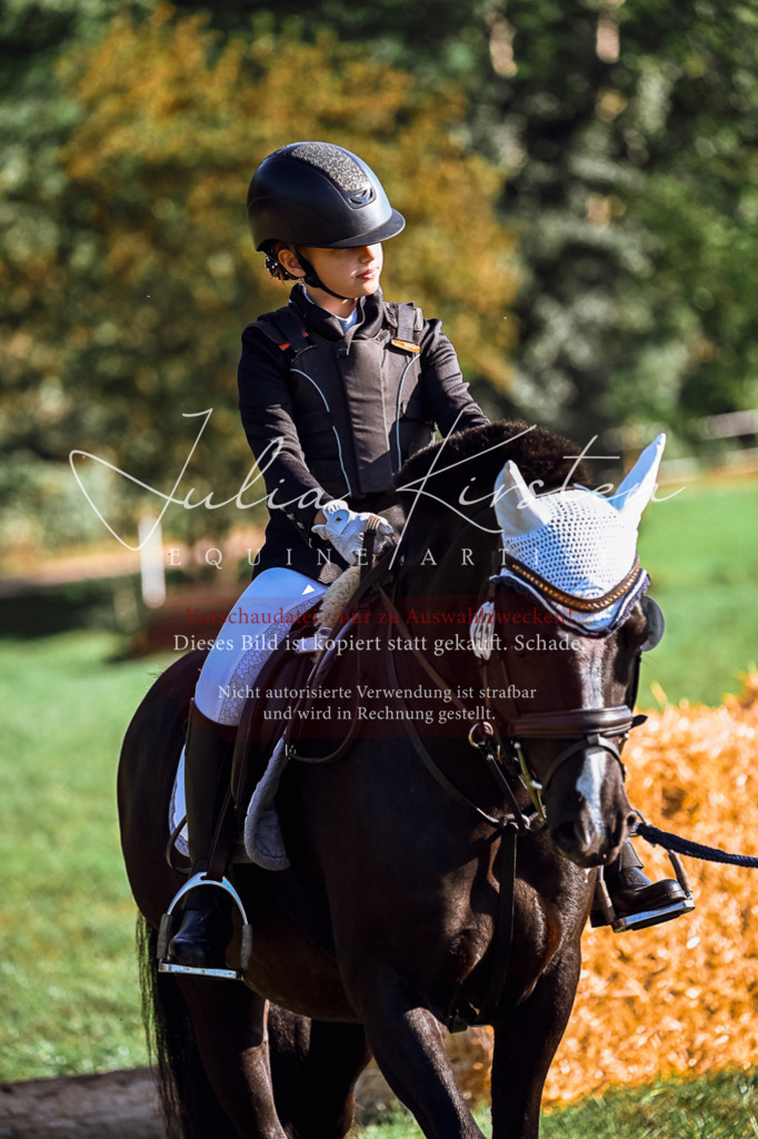 DSC_0360 | Pferde- und Turnierfotografie in Westsachsen. Pferdeportraits, Auftragszeichnungen und intuitive Kunst.