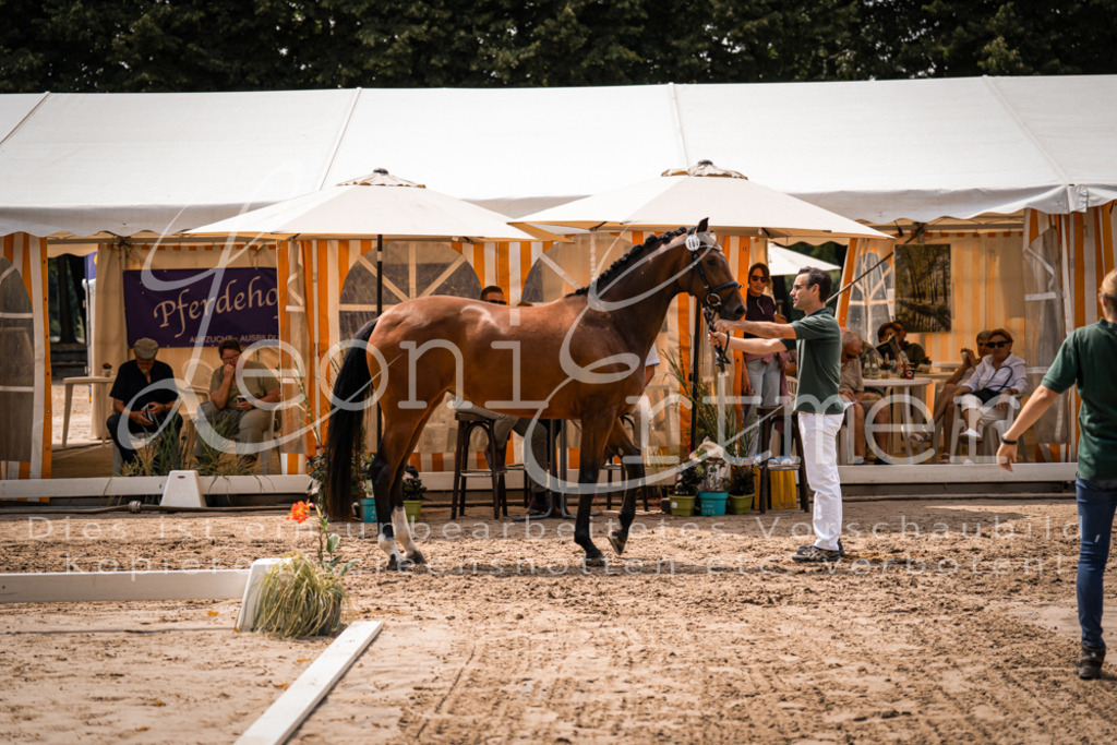 2. Fr00067 | Leoni Ertmer Photography - Realisiert mit Pictrs.com