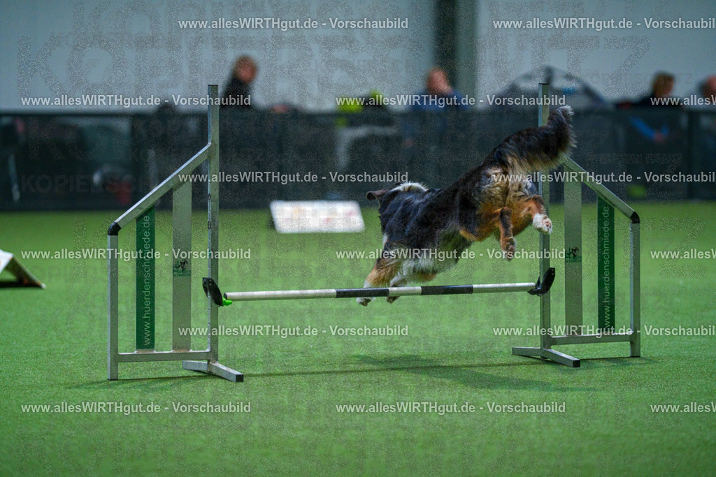 7R501955 | Professionelle Tierfotografie in Mönchengladbach von Daniel Wirth (allesWIRTHgut). Liebevolle & natürliche Bilder von Hunden & Katzen für unvergessliche Erinnerungen.