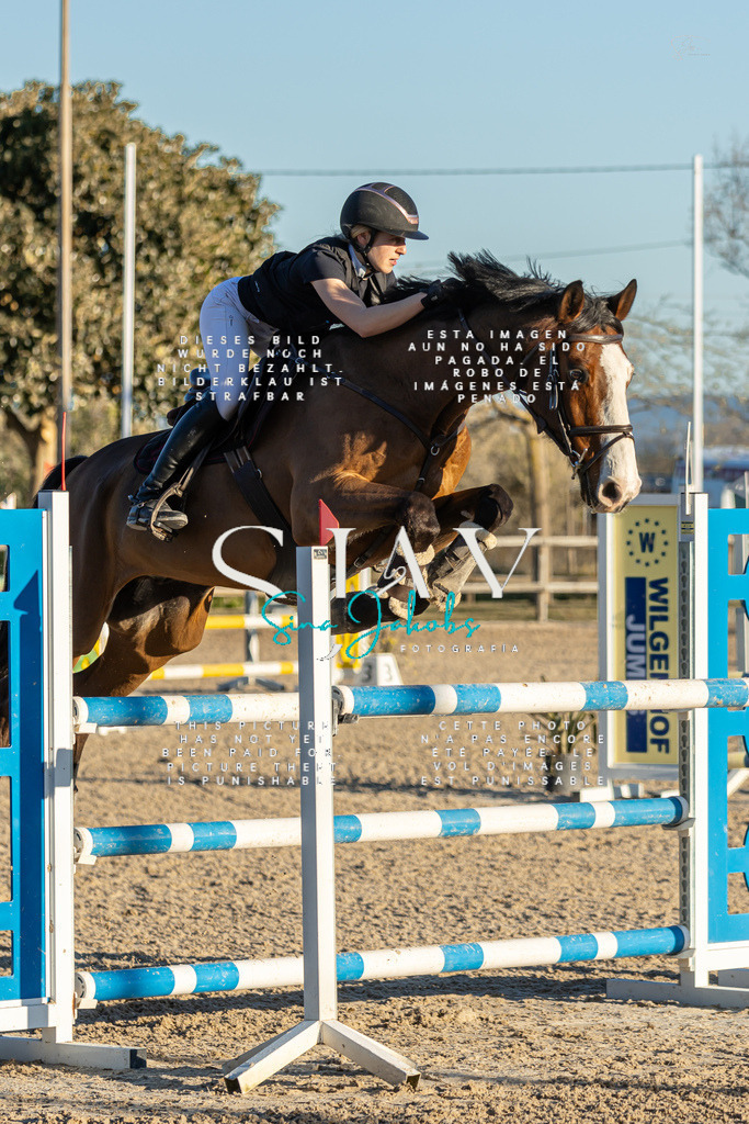 IMG_2706 | s-jay-photography - Realisiert mit Pictrs.com