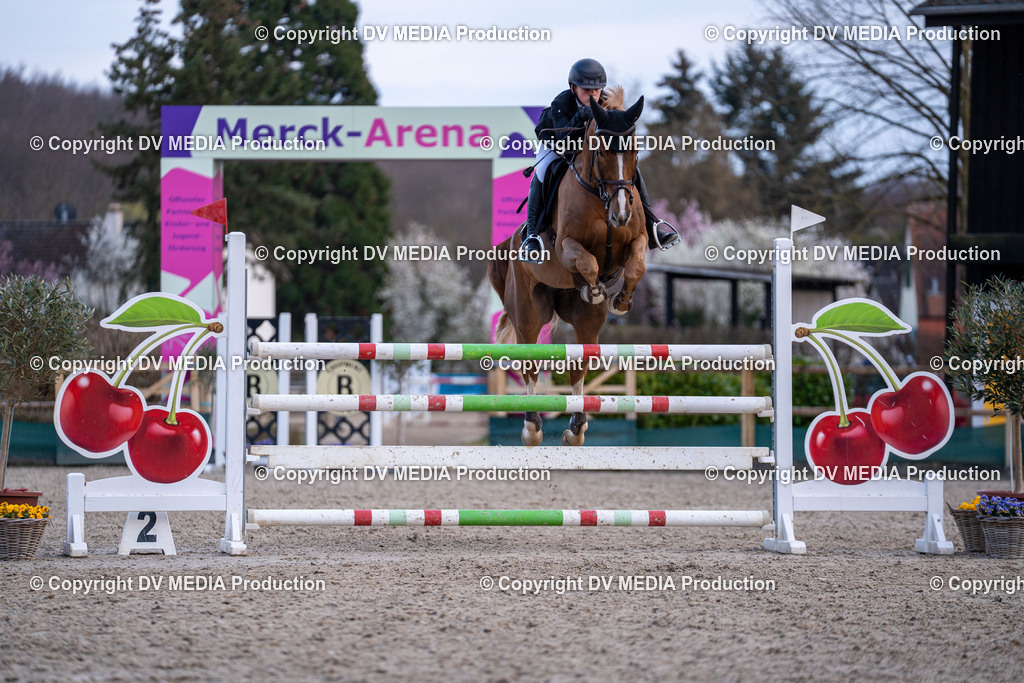 Kranichstein Tag 2-2377 | dv-media-shop - Realisiert mit Pictrs.com