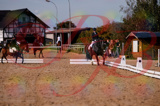 2026_10_03_Siefer-Hof_120723_Z81_08983039 | Professionelle Reitsport-, Turnier- und Eventfotografie von Robert Broda. Galerien mit ausgewählten und bearbeiteten Bildern direkt online ansehen und bestellen.