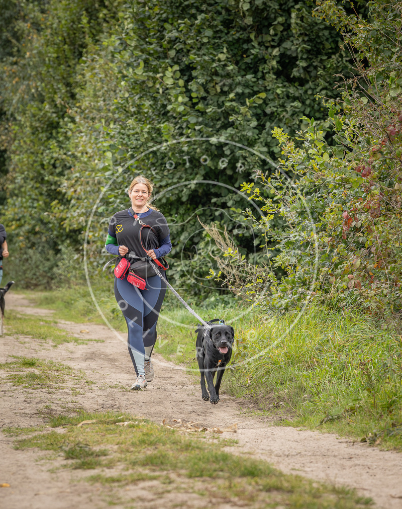 Pfotenfotografie_DV3A6367 | Hundefotografie, Tierfotograf, Pfotenfotografie, Fotoshooting Hund, Hunde Portrait, Hundesport, Hundeportraits, Heideshooting, Hunde, Sportfotograf, Hundefotograf, Turnierhundsport, THS,  - Realisiert mit Pictrs.com
