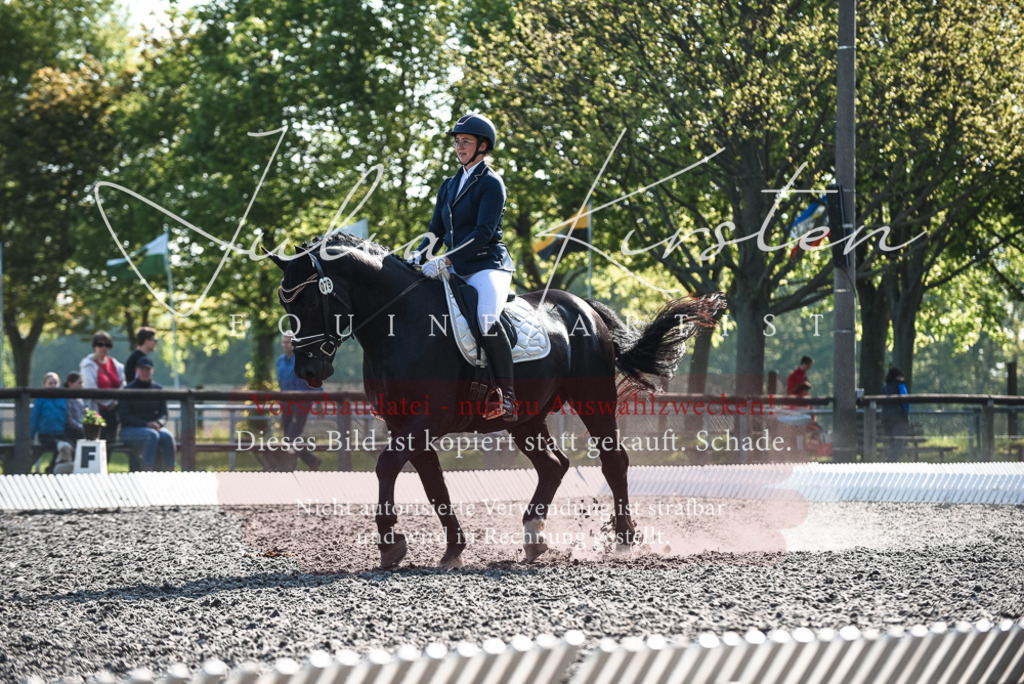 DSC_8460 | Pferde- und Turnierfotografie in Westsachsen. Pferdeportraits, Auftragszeichnungen und intuitive Kunst.
