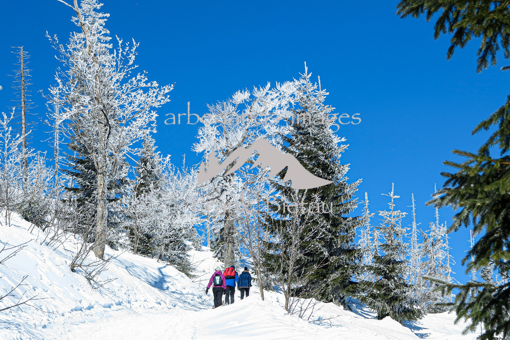 IMG_9569 | Winterwanderung zum Lusengipfel