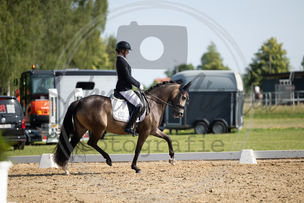 994A4353 | sabrinanicolaifotografie - Realisiert mit Pictrs.com