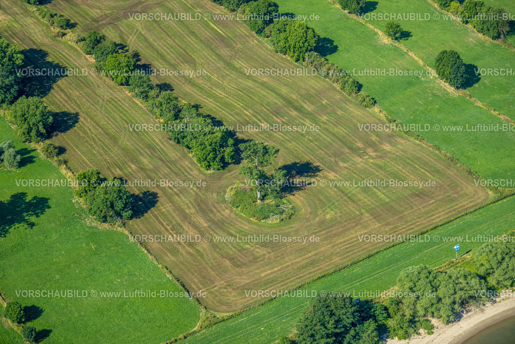 Duisburg230706623 | Luftbild, Baum und Baumreihe auf einer Wiese, nahe der Orsoyer Straße, Baerl, Duisburg, Ruhrgebiet, Nordrhein-Westfalen, Deutschland