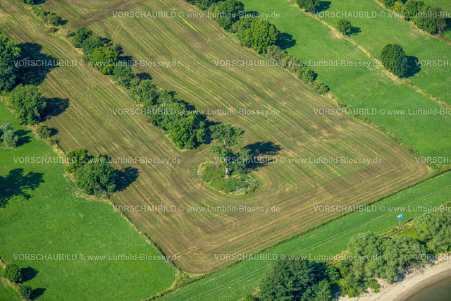 Duisburg230706623 | Luftbild, Baum und Baumreihe auf einer Wiese, nahe der Orsoyer Straße, Baerl, Duisburg, Ruhrgebiet, Nordrhein-Westfalen, Deutschland