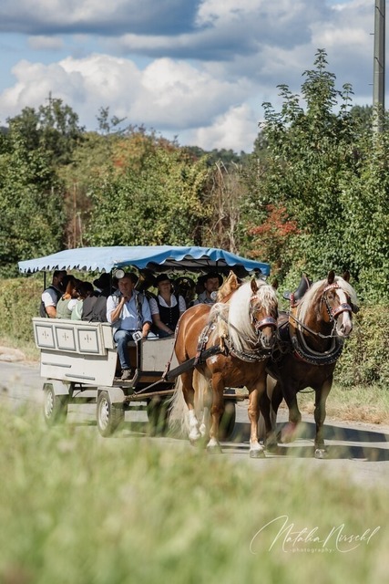 7V6A1998 | natalia-nirschl-photography