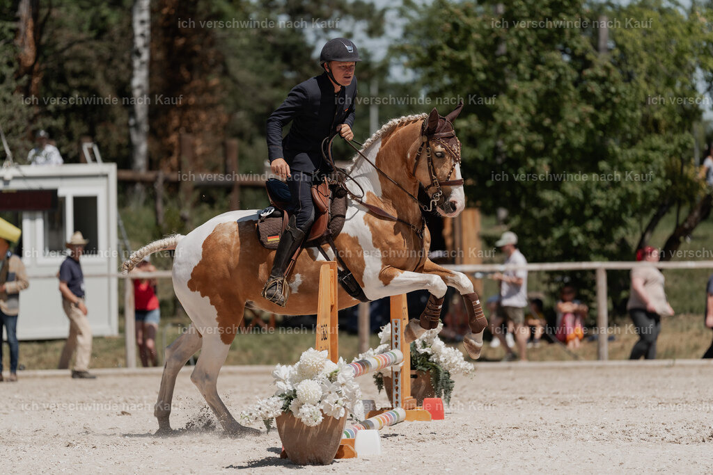 WE_SP_Stoib_344_PI2025_1887 | Pferd International München 2025