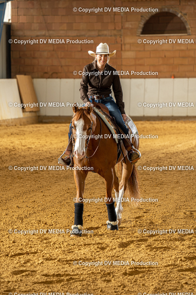 MIT00652 | dv-media-shop - Realisiert mit Pictrs.com