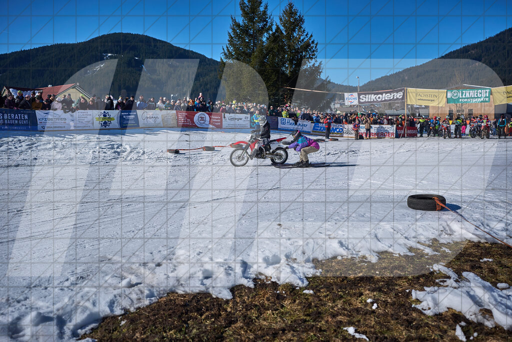 10. Holzknecht Skijöring in Gosau am Dachstein, Oberösterreich, Österreich am 08.02.2025Foto: © 2025 Martin Bihounek / martinbihounek.com | 08.02.2025: 10. Holzknecht Skijöring in Gosau am Dachstein, Oberösterreich, ÖsterreichFoto: © 2025 Martin Bihounek / martinbihounek.comInsta: @martinbihounekcomFB: @martinbihounekphotography