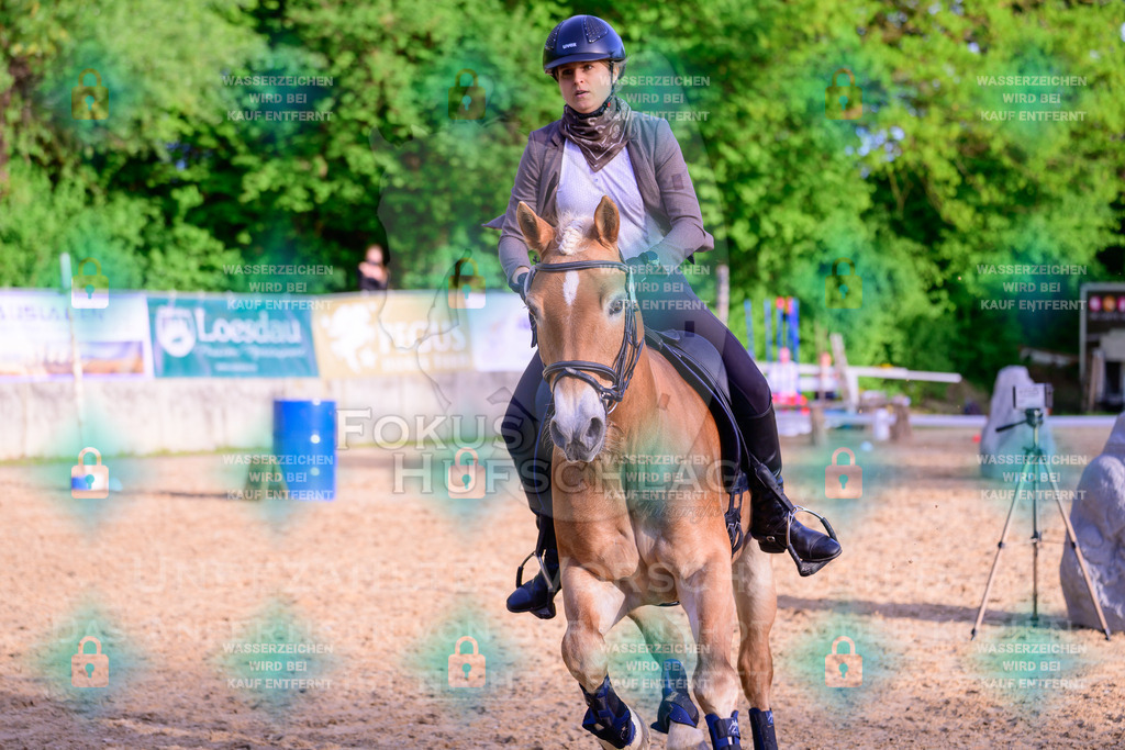 02052026-Giesenbach-03-Speedtrail-0869 | Fokus Hufschlag Fotografie - Realisiert mit Pictrs.com