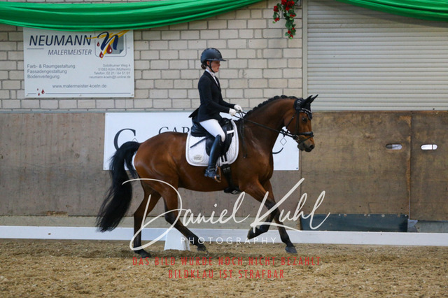 IMG_2827 | Turnierfotos kaufen im Webshop von Daniel Kuhl Photography – entdecke professionelle Reitsportfotos aus Turnieren & Events. Hochwertige Turnierbilder online bestellen & sichern. Jetzt Fotos von Reitsportturnieren kaufen!