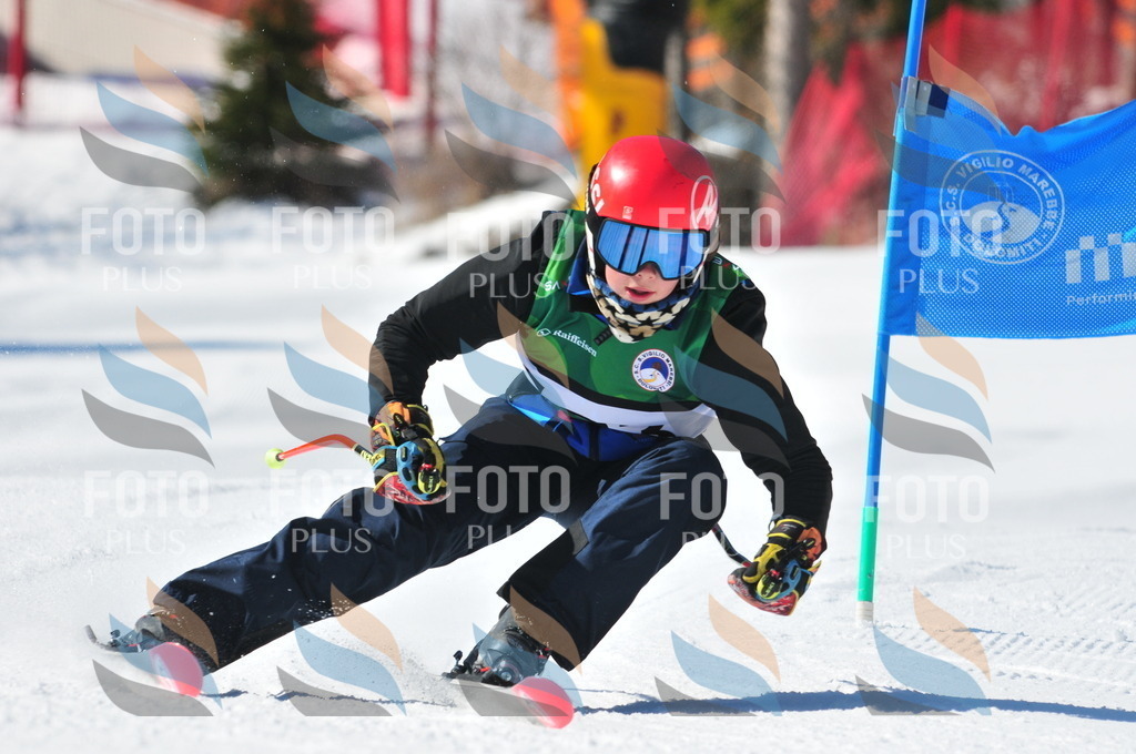 C3779 | holidayphoto