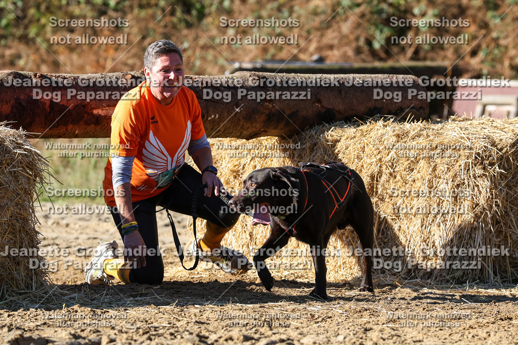 Dog Paparazzi - Strongdog 10-25-2583 | Dog Paparazzi Jeanette Grottendiek Fotografie & Videografie - Realisiert mit Pictrs.com