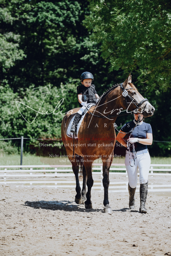 DSC_2565 | Pferde- und Turnierfotografie in Westsachsen. Pferdeportraits, Auftragszeichnungen und intuitive Kunst.
