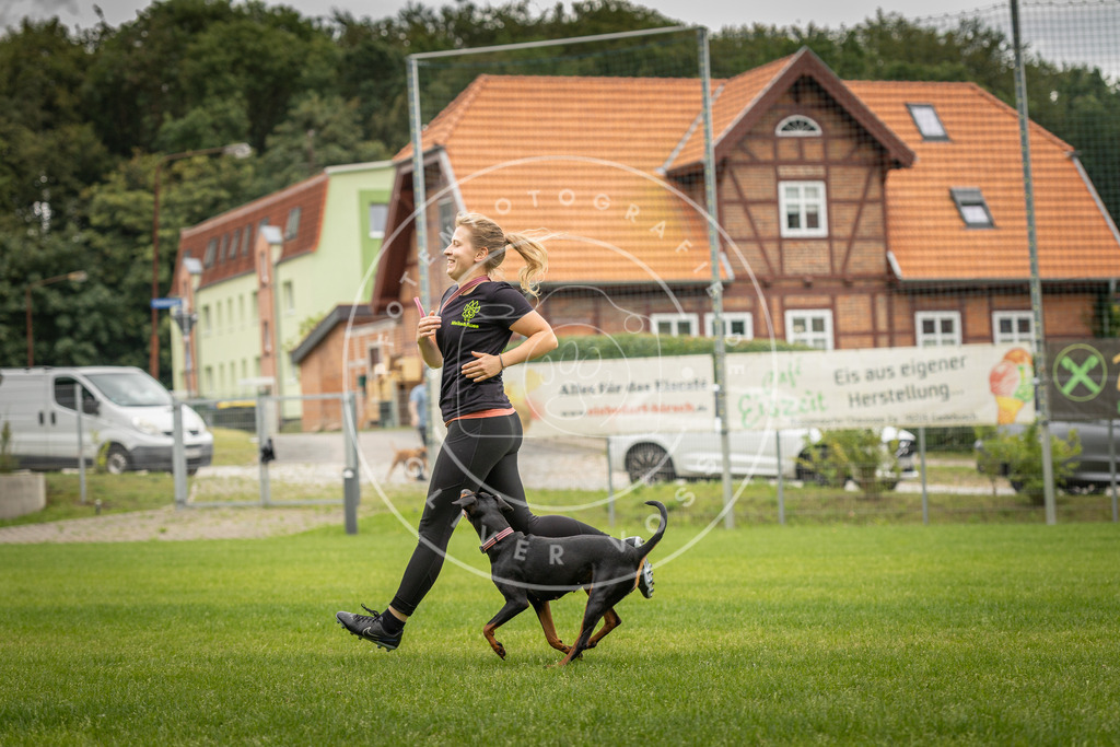 Pfotenfotografie_DV3A8058 | Hundefotografie, Tierfotograf, Pfotenfotografie, Fotoshooting Hund, Hunde Portrait, Hundesport, Hundeportraits, Heideshooting, Hunde, Sportfotograf, Hundefotograf, Turnierhundsport, THS,  - Realisiert mit Pictrs.com