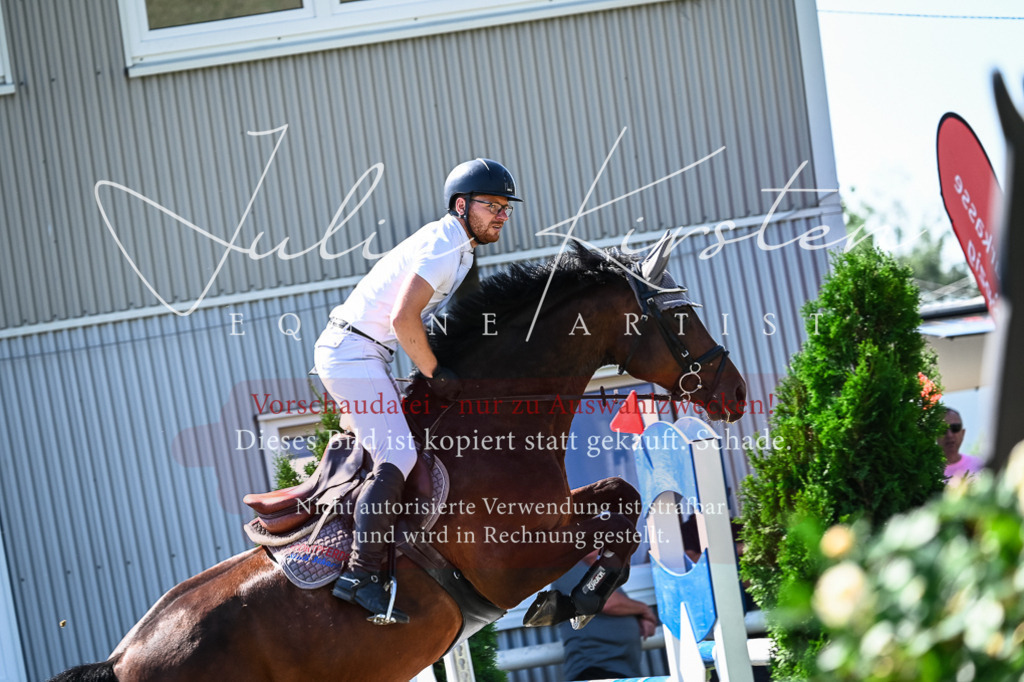DSC_1647 | Pferde- und Turnierfotografie in Westsachsen. Pferdeportraits, Auftragszeichnungen und intuitive Kunst.
