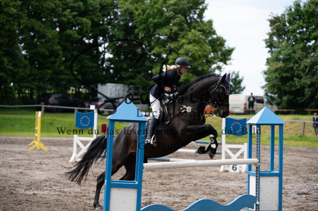 A7V04142 | Pferdefotograf