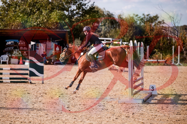 2026_10_03_Siefer-Hof_155757_Z81_77711837 | Professionelle Reitsport-, Turnier- und Eventfotografie von Robert Broda. Galerien mit ausgewählten und bearbeiteten Bildern direkt online ansehen und bestellen.