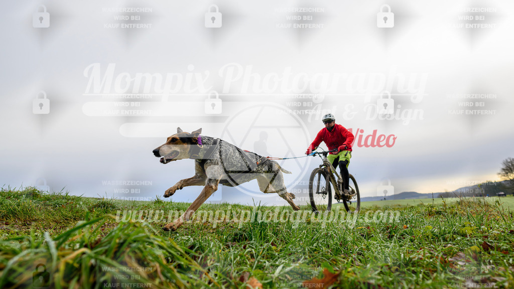 MompixPhotography_Staufertrail2024_SO_Bike-2 | PayLife