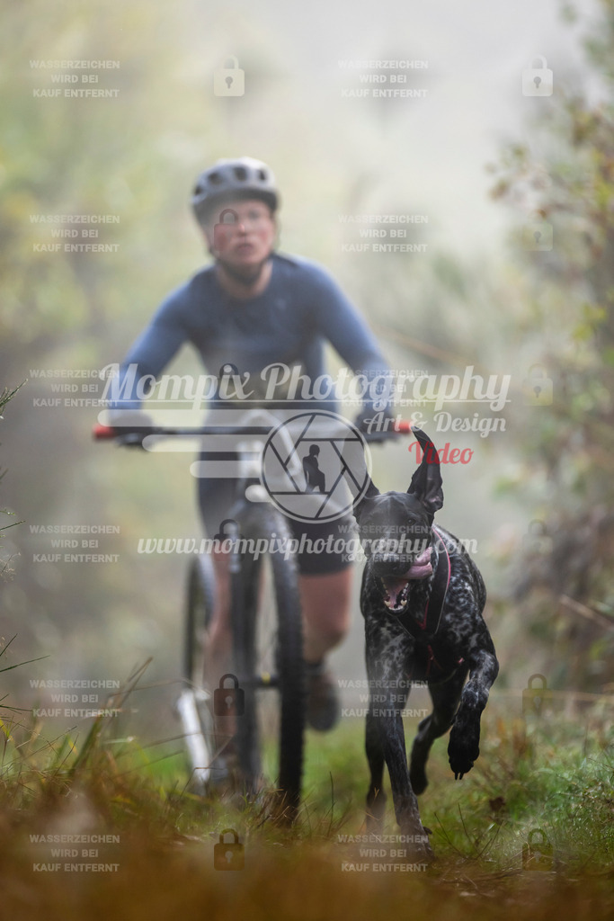 MompixPhotography_20TSB_E4_DS1-23 | PayLife