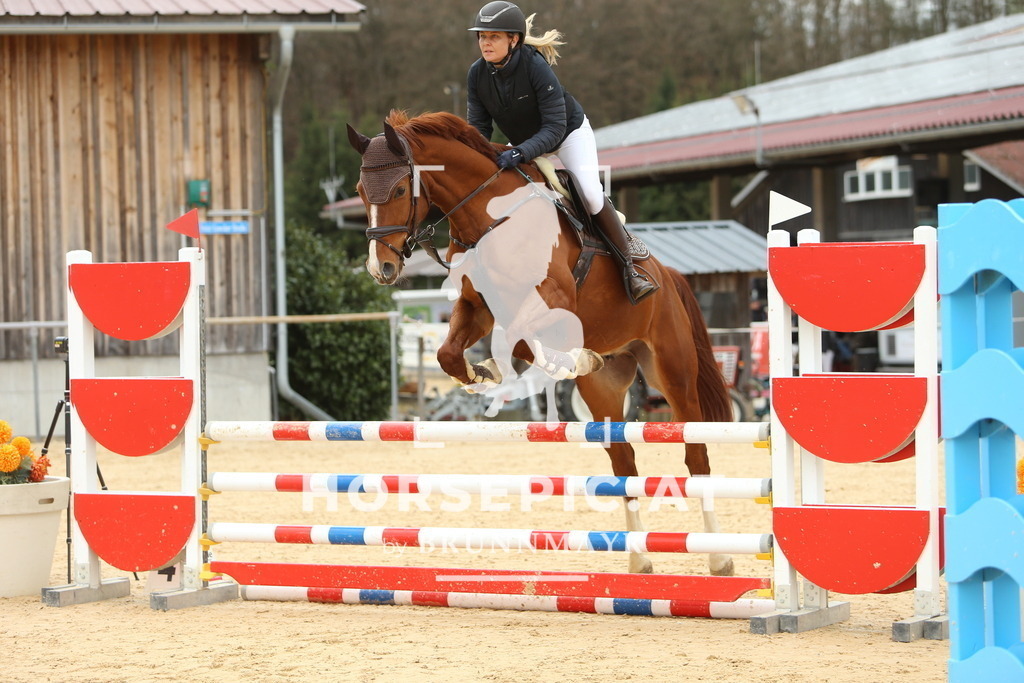 DL2Q2112 | Willkommen bei Brunnmayr - Design & Fotografie – Ihrem Spezialisten für Reitturniere und Pferdeveranstaltungen in Oberösterreich, Salzburg und Bayern! Seit über 17 Jahren sind wir leidenschaftlich dabei.