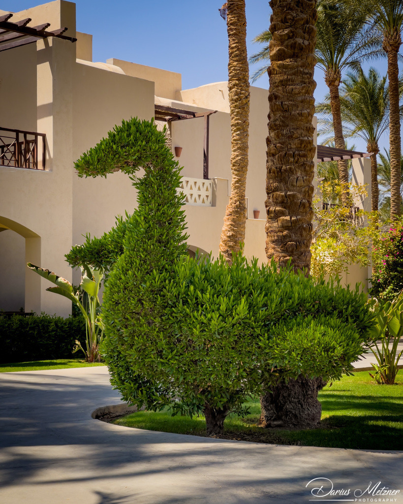 Bilder von Makadi Bay bei Hurghada | Bilder von Makadi Bay bei Hurghada