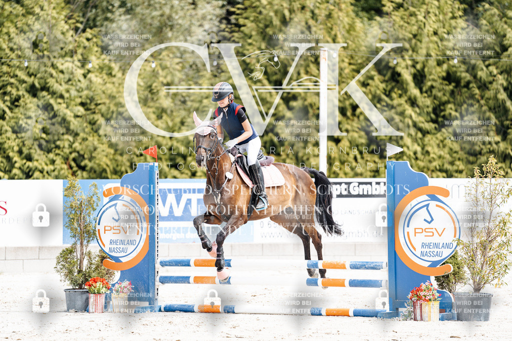 CK906679 | Turnierfotografie Pferdefotografie Trier Rheinland-Pfalz Pferdesport Reitsport Tierfotografie Sportfotografie Pferdevideo Pferdevideografie Equestrianvideography equestrianphotography  - Realisiert mit Pictrs.com
