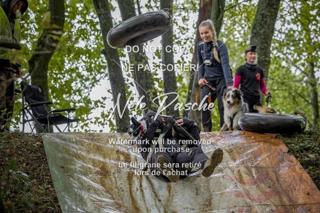 nelerasche_Hunsrück_Sa1430-1500_338-final | nelerasche