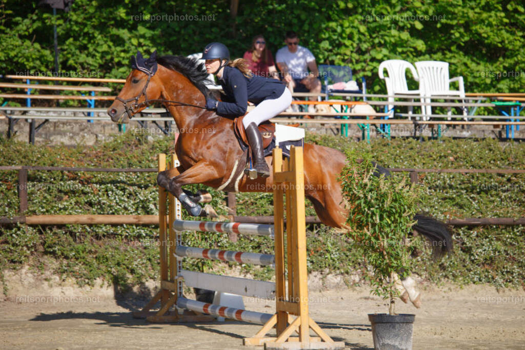 JHE_0689 | JoYa Fotografie - Realisiert mit Pictrs.com