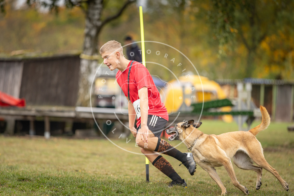 Pfotenfotografie_DV3A5052 | Hundefotografie, Tierfotograf, Pfotenfotografie, Fotoshooting Hund, Hunde Portrait, Hundesport, Hundeportraits, Heideshooting, Hunde, Sportfotograf, Hundefotograf, Turnierhundsport, THS,  - Realisiert mit Pictrs.com