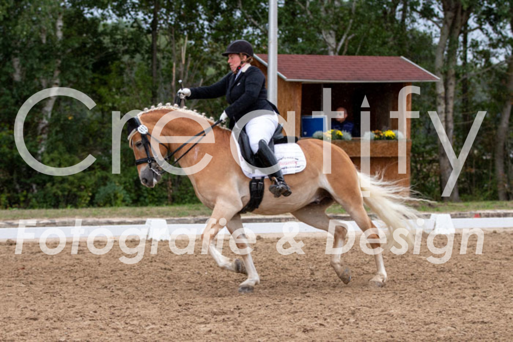 IMG_5798 | Creatify Fotografie