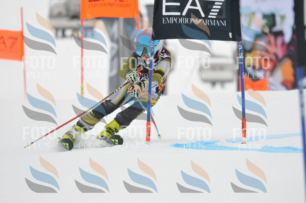 DSC_7527 | holidayphoto