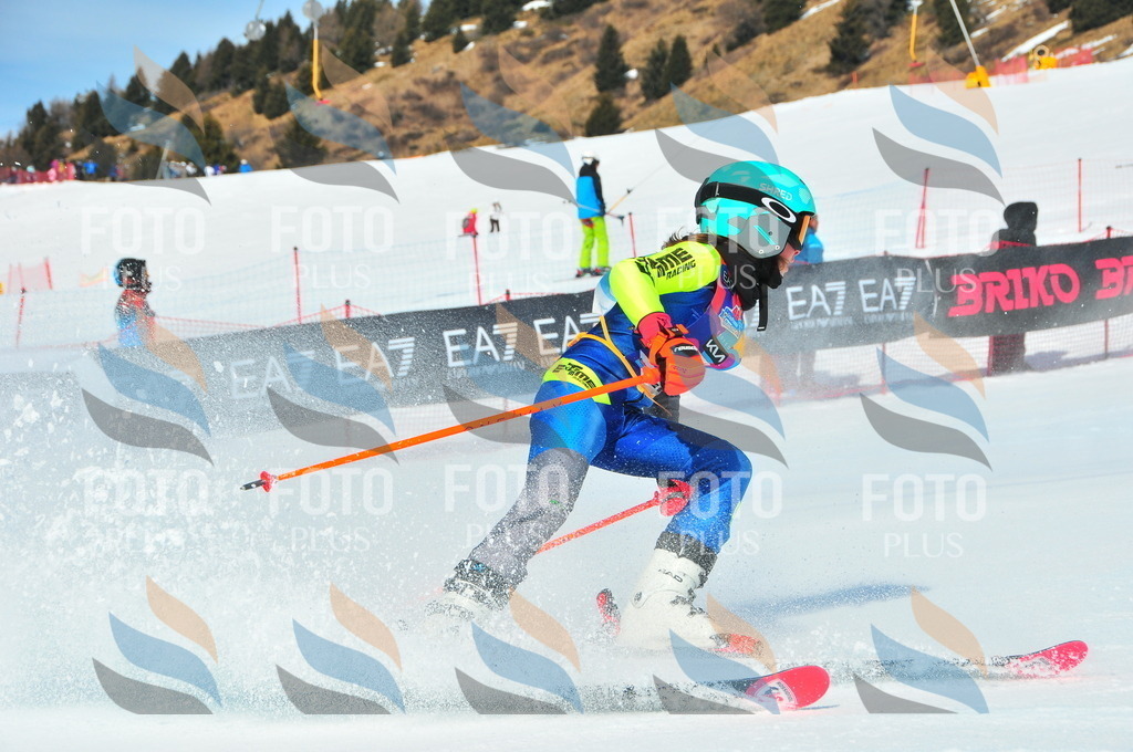 DSC_4602 | holidayphoto