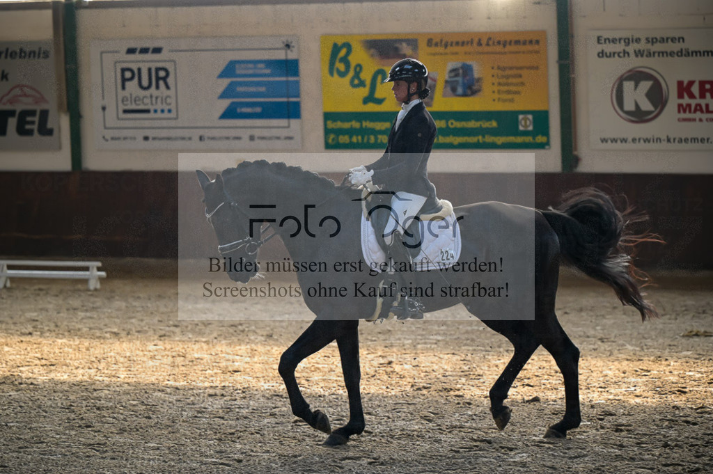 Reitturnier Voxtrup | Entdecke hochwertige Reitturnierfotos von Foto Oger. Professionell, emotional und authentisch – jetzt Lieblingsmomente im Shop bestellen.Deutschlandweite Turnierfotografie. - Realisiert mit Pictrs.com