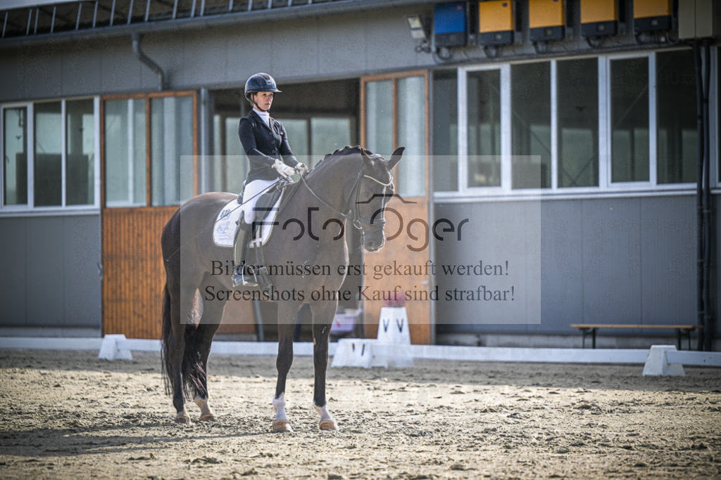 DOS_0058 | Entdecke hochwertige Reitturnierfotos von Foto Oger. Professionell, emotional und authentisch – jetzt Lieblingsmomente im Shop bestellen.Deutschlandweite Turnierfotografie. - Realisiert mit Pictrs.com