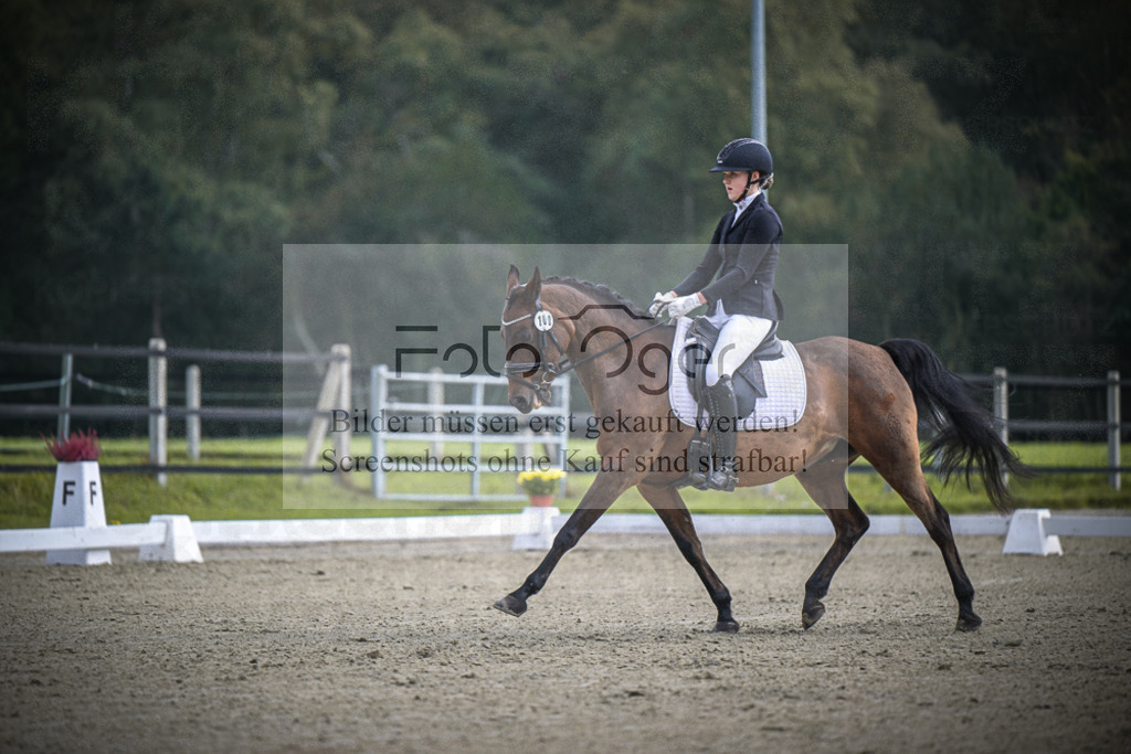 DOS_B454 | Entdecke hochwertige Reitturnierfotos von Foto Oger. Professionell, emotional und authentisch – jetzt Lieblingsmomente im Shop bestellen.Deutschlandweite Turnierfotografie. - Realisiert mit Pictrs.com