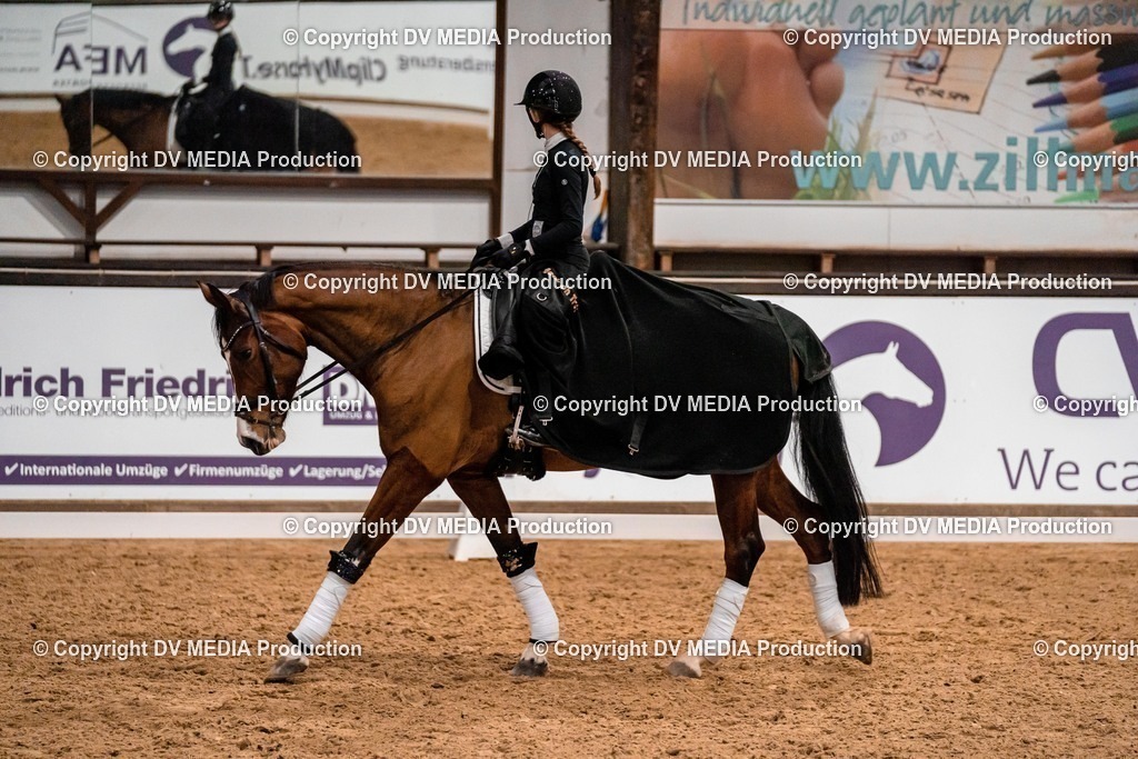 Kranichstein Tag 1-2 | dv-media-shop - Realisiert mit Pictrs.com