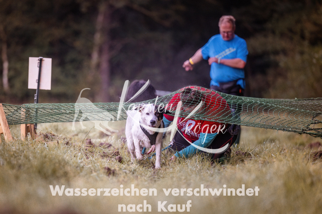 0815_ZZ90027 | kk-dogfotos