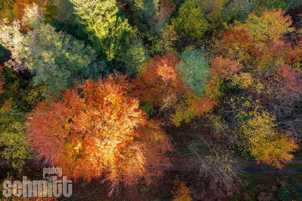 PS-Aerials-2026-12 | Entdecke die größte Bildgalerie der Region mit Fotografien aus dem Allgäu, der Bodenseeregion, Oberschwaben, dem Donautal und der Schwäbischen Alb. Landschaften, Luftaufnahmen und Reisefotografie als Wandbild und Fotokunst. - Realisiert mit Pictrs.com