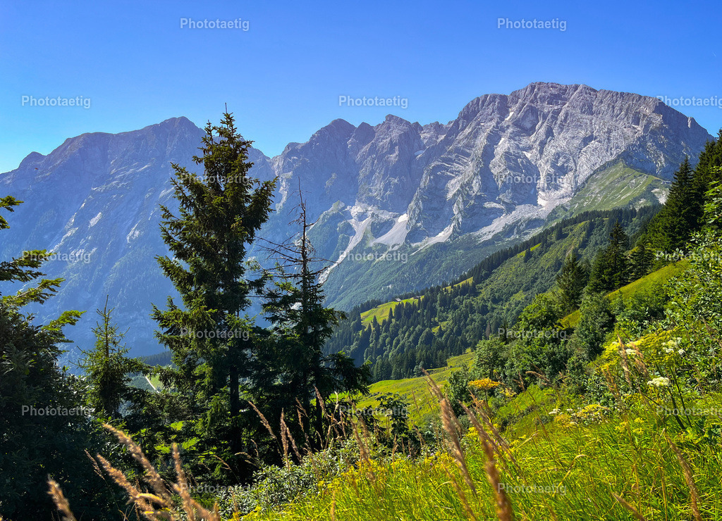 IMG_2031 | phototaetig