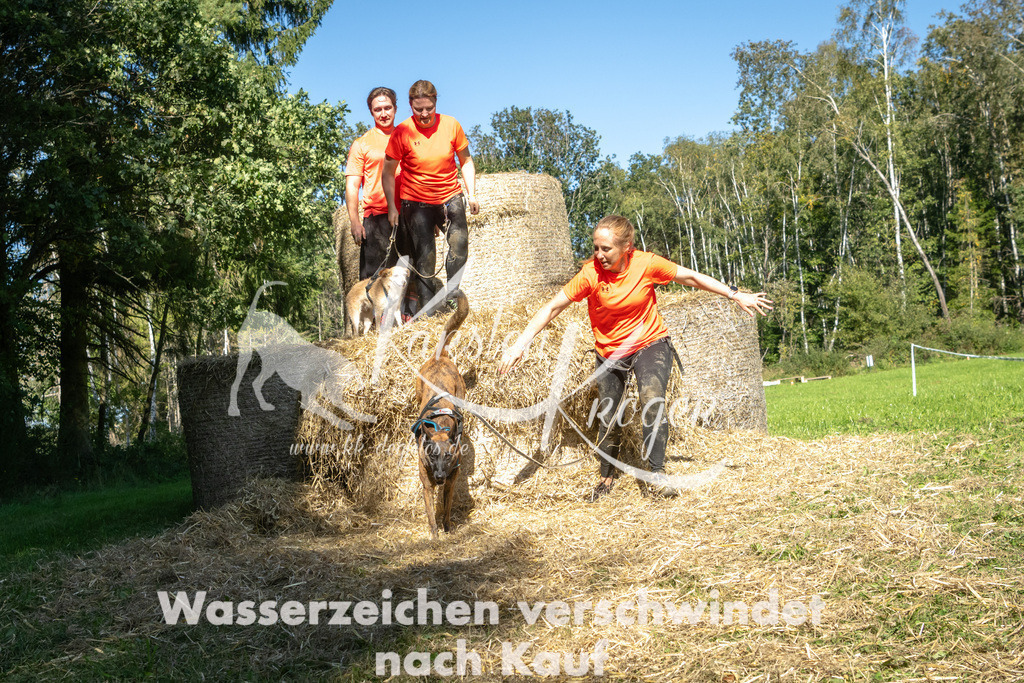 1410_ZZ92815-3 | kk-dogfotos