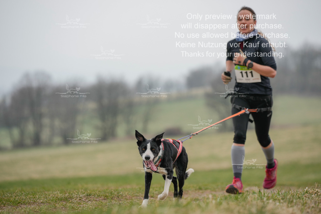 Canixlong-312 | stephaniefillaphotographie - Realisiert mit Pictrs.com