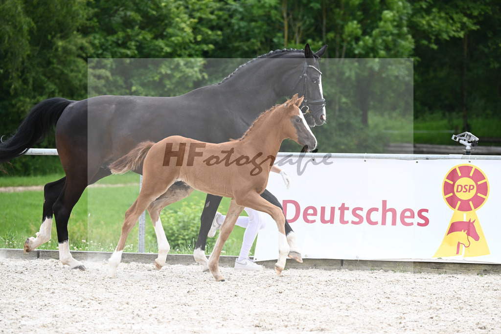 Va Bene x Fuersten Look_HF_Mueller_20240575 | hf-fotografie - Realisiert mit Pictrs.com