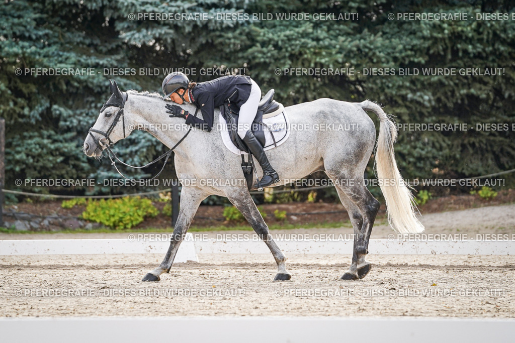 DSC00141 | Pferdegrafie